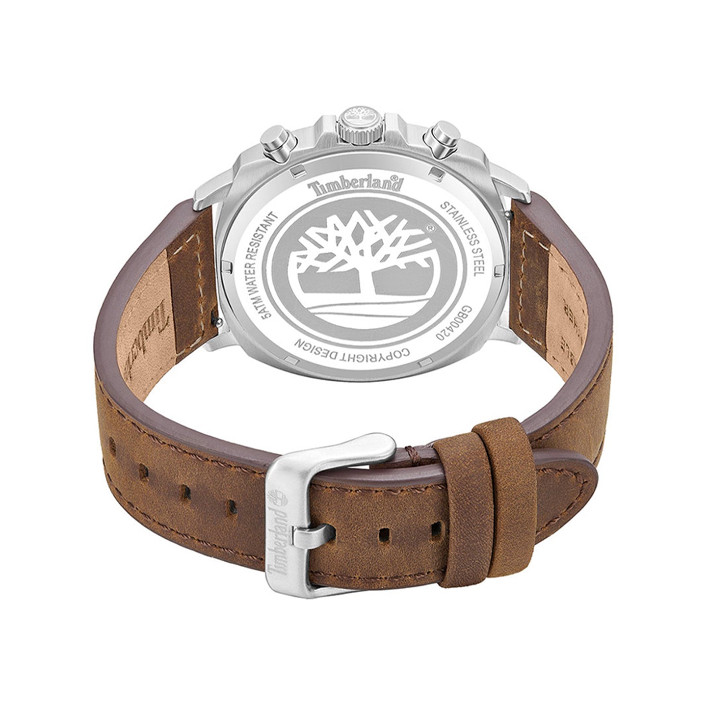 Williston - Small, TBL-TDWGB0042007