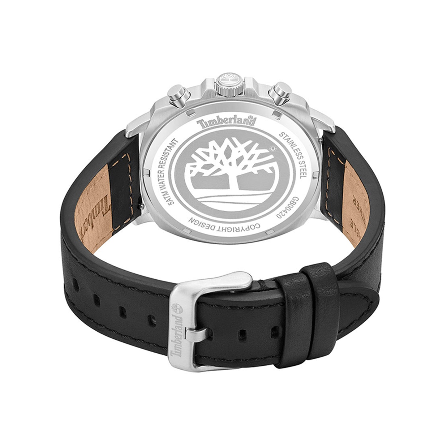 Williston - Small, TBL-TDWGB0042008