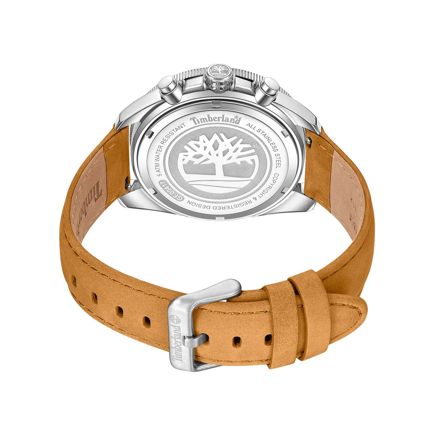 Marshfield, TBL-TDWGF0041701