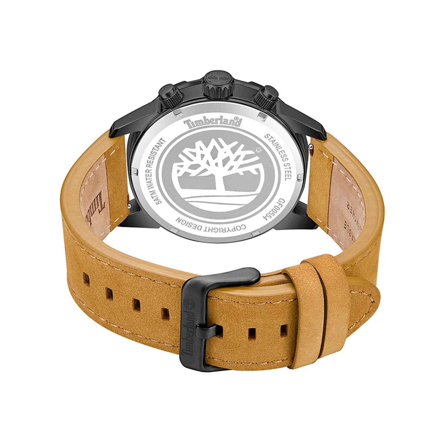 Campton, TBL-TDWGF0055403