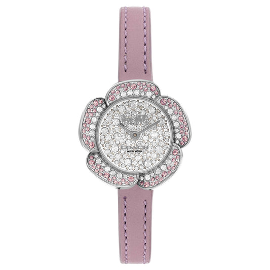 Tearose, CO-14504324