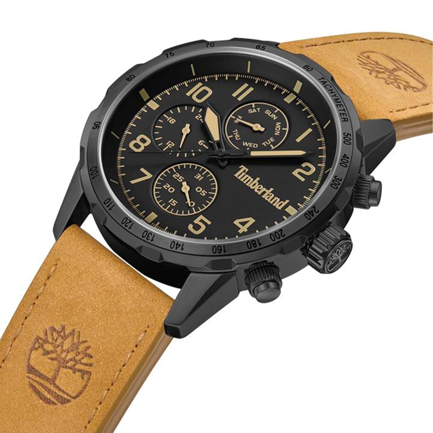 Campton, TBL-TDWGF0055403