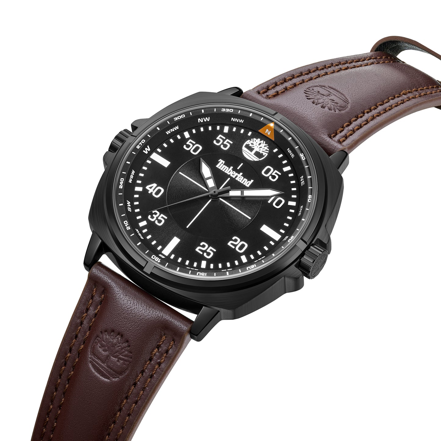 Williston, TBL-TDWGA0095603