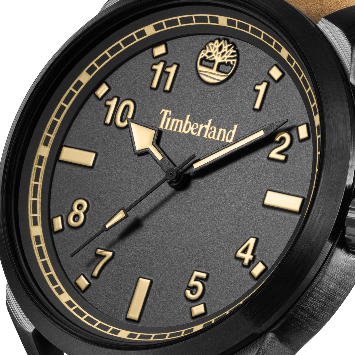 Henniker 3, TBL-TDWGA0109701
