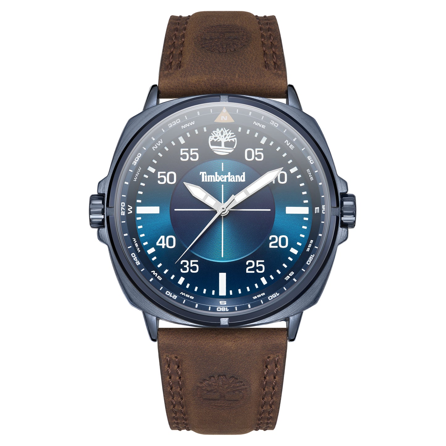 Williston, TBL-TDWGA2132001