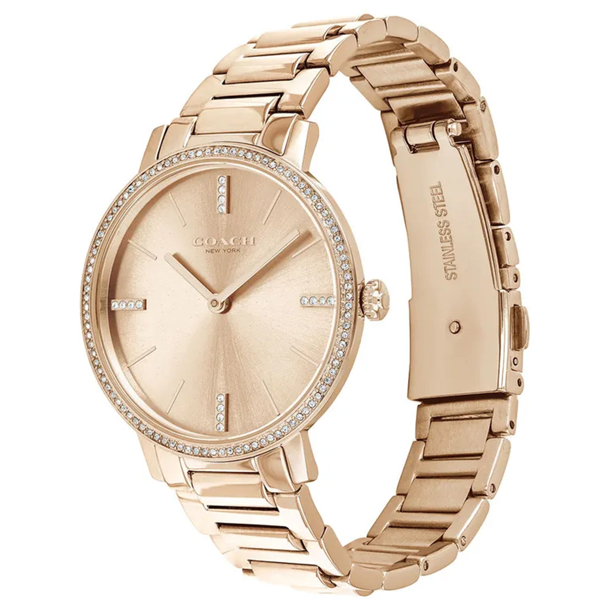 Coach audrey 2025 pave watch